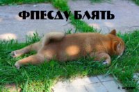 cf81a4eae3447c5f0a.jpg