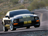 Ford_Mustang_Shelby_pic_33589.jpg